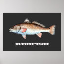 Suche nach gulf coast poster Florida