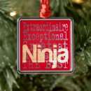 Recherche de ninjas ornements Pour tous