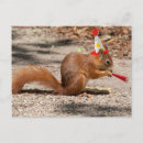 Suche nach rotes eichhörnchen karten Spaß