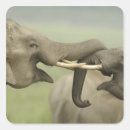 Suche nach asiatischer elefant aufkleber Wiese