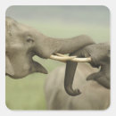 Suche nach kampf aufkleber Spielen