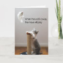 Suche nach katze und maus karten Katzen