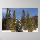 Suche nach bergbahnen poster Winter