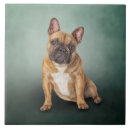 Recherche de dessins de chien carreaux Animaux