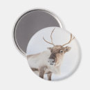 Suche nach rudolph magnete Rentiere