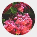 Suche nach pagode aufkleber Rosa