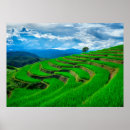 Suche nach chiang mai thailand poster Reise