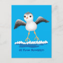 Recherche de bécasseaux cartes postales Pour tous