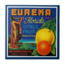 Suche nach zitrusfrucht fliesen Florida