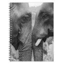 Recherche de éléphants carnets Paysage
