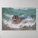 Recherche de surfant posters Mignon