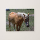 Recherche de chevaux palomino puzzles Animal