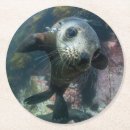 Suche nach cute untersetzer Young animal