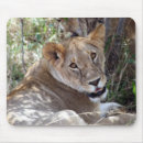 Suche nach afrikanische löwen mousepads Katze