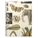 Suche nach elefanten kleine notizbücher Tiere