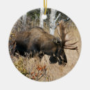 Suche nach elche ornamente Tiere