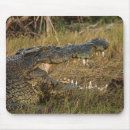 Recherche de crocodile tapis souris Reptile