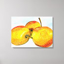 Suche nach birnen leinwandbilder Aquarell