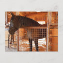 Recherche de percherons cartes postales Cheval de trait