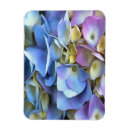 Recherche de peinture originale magnets Rose