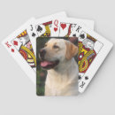 Recherche de mise jeux de cartes Image en couleur