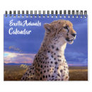 Suche nach gepard kalender Leopard