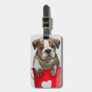 Recherche de seau accessoires Seaux de chiot