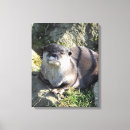 Suche nach senf leinwandbilder Tierwelt