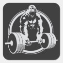 Suche nach gorilla aufkleber Biest