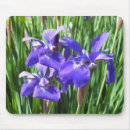 Suche nach lila iris mousepads Reis