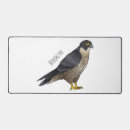 Recherche de oiseaux proie tapis souris Rapace