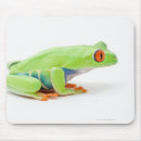 Suche nach rote augen mousepads Muscheln