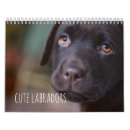 Suche nach labrador kalender Schokolade