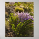 Suche nach plant poster Cactus