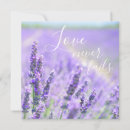 Suche nach lavendelfeld karten Für sie