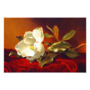 Recherche de vintage magnolia posters Floral