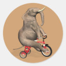 Suche nach triker aufkleber Fahrrad