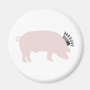 Suche nach pig magnete Niedlich