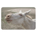 Recherche de autrichien magnets Pays