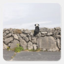 Recherche de mur pierre autocollants Extérieur