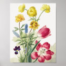 Recherche de botanique antique art Vintage