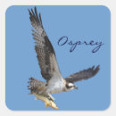 Suche nach osprey aufkleber Jagd