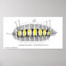 Suche nach lepidoptera poster Entomologie