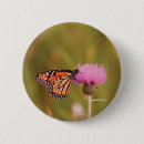 Suche nach monarch buttons Natur