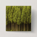 Recherche de arbre no badges Personne