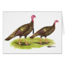 Recherche de dindon cartes postales Animal
