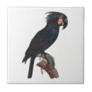 Suche nach lustige vögel fliesen Vogel