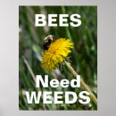 Suche nach bestäubung poster Blume