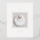 Recherche de boy faire part naissance Minimaliste