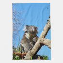 Recherche de koala cuisine linges Marsupial